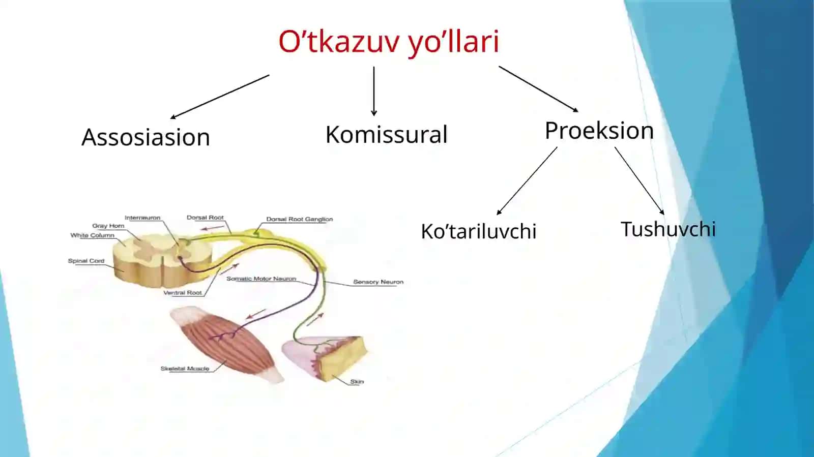 O'tkazuv yo'llari 4