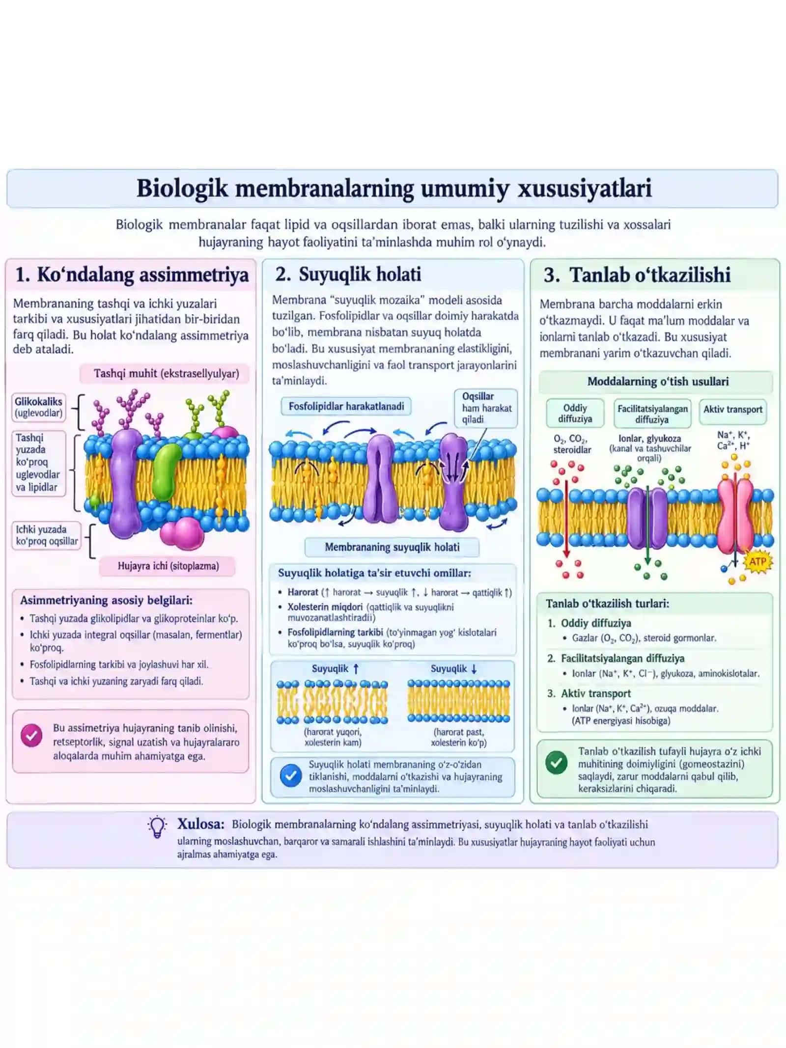 Biologik membranalar umumiy xususiyatlari 4
