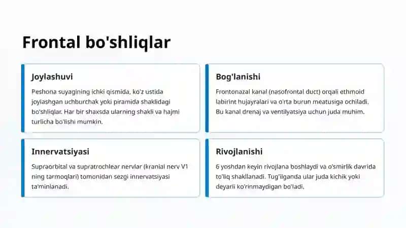 Bosh suyagining paranasal bo'shliqlari anatomiyasi 4