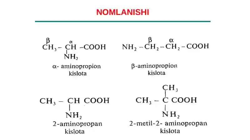 Aminokislotalar va peptid bog‘lar. Oqsil tuzilishi. Fermentlar 4
