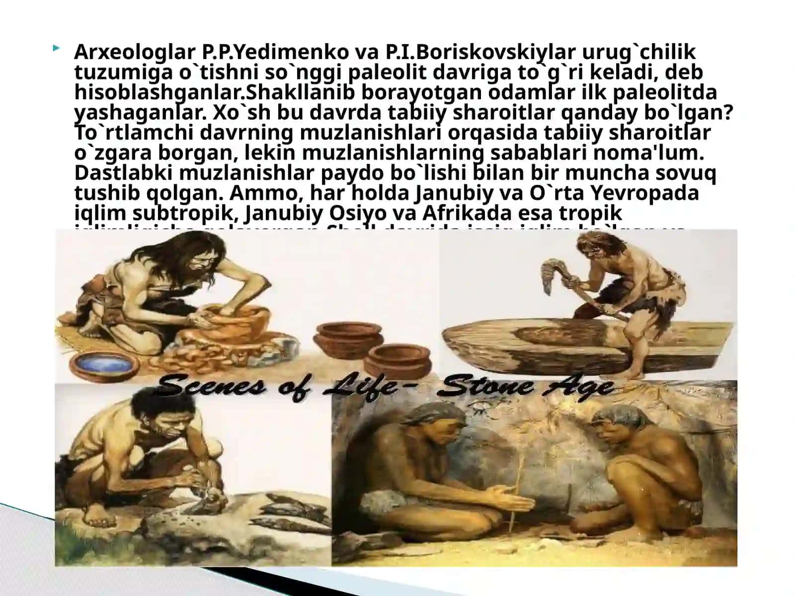 Arxeologiya yo’nalishi Murotaliyeva Rayhonaning Inson evolutsiyasi va old tarixi fanidan taqdimoti 4