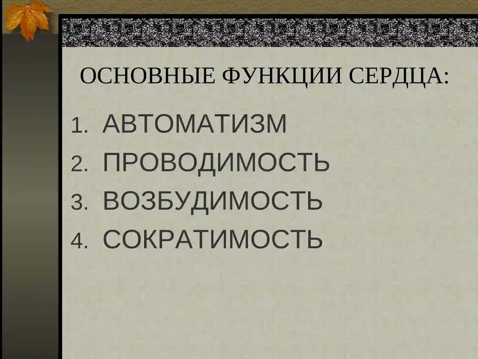 Аритмии 4