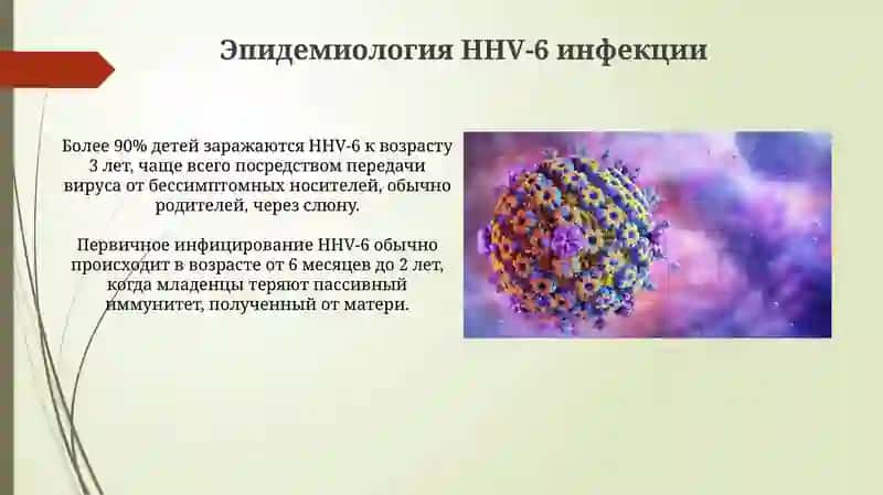 Инфекция, вызванная вирусом герпеса человека 6-го типа 4