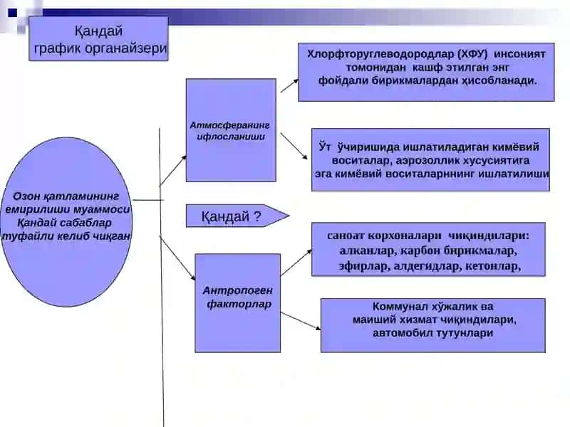 Озонмуаммоси 4