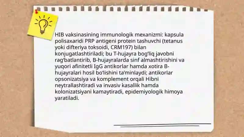 HIB vaksinsi 4