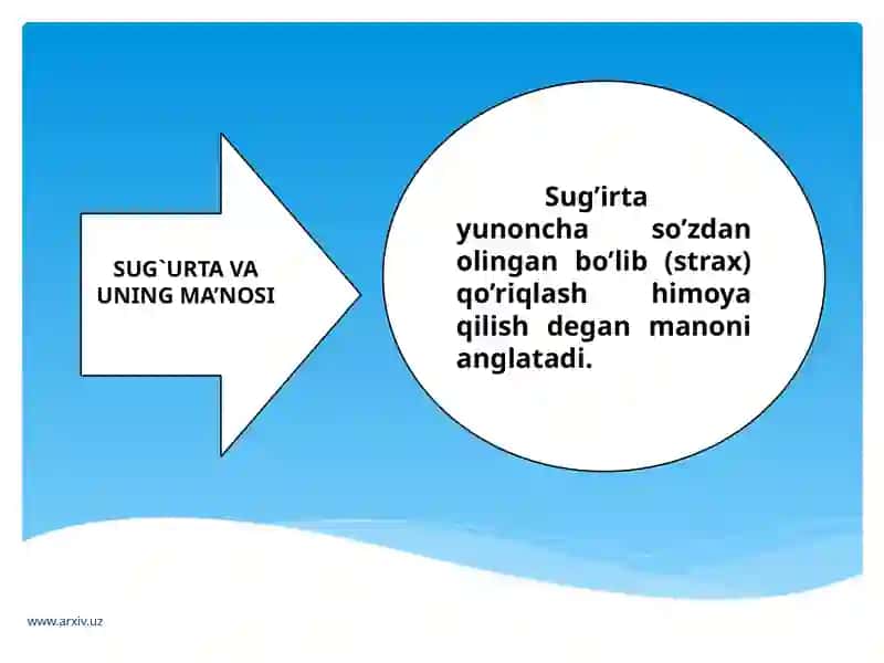 Hayot Sug`urtasi. 4