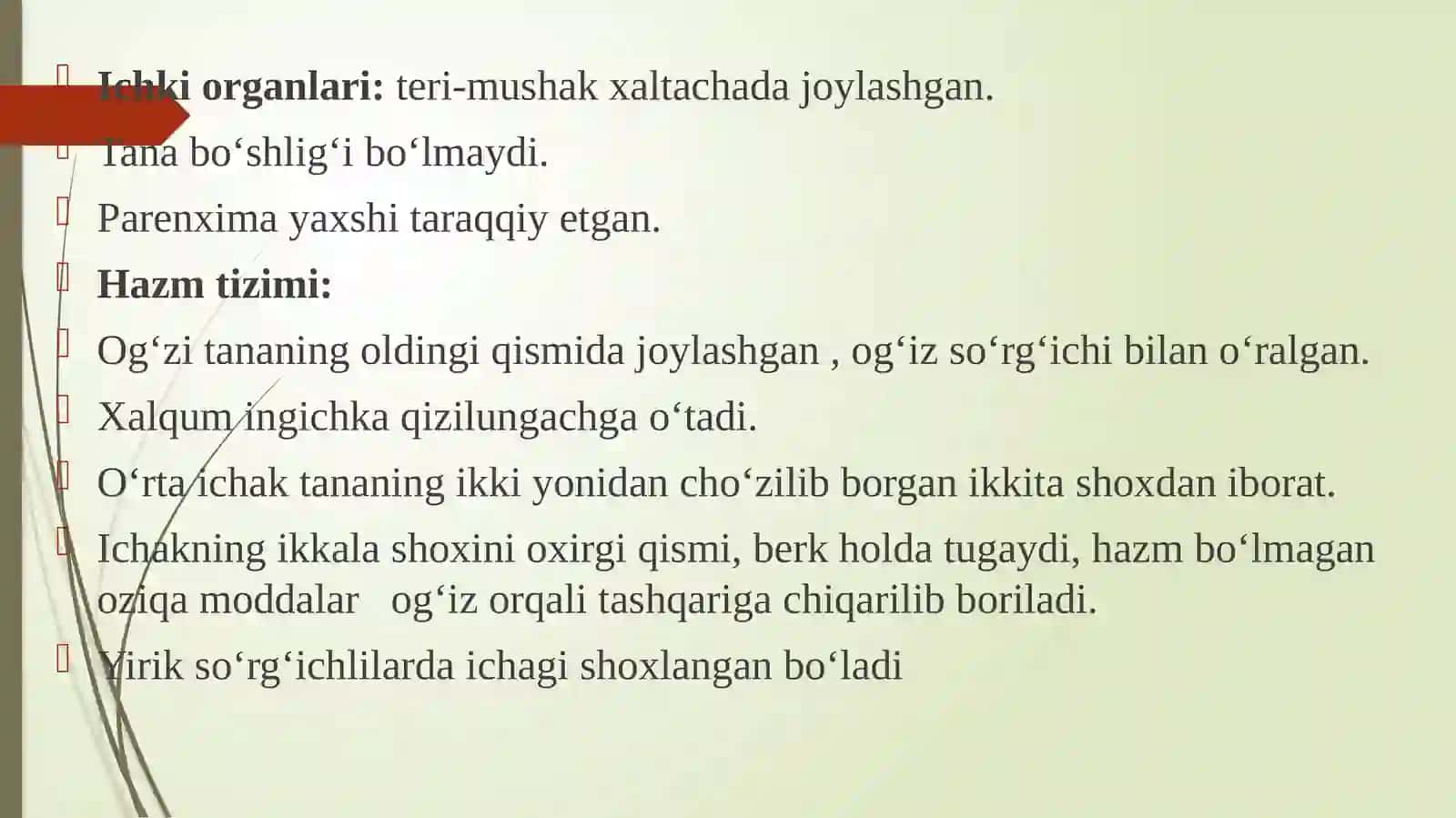 So‘rg‘ichlilar sinfi 4