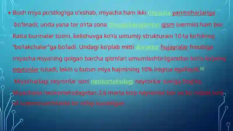 miyachada neyronlararo aloqalar 4