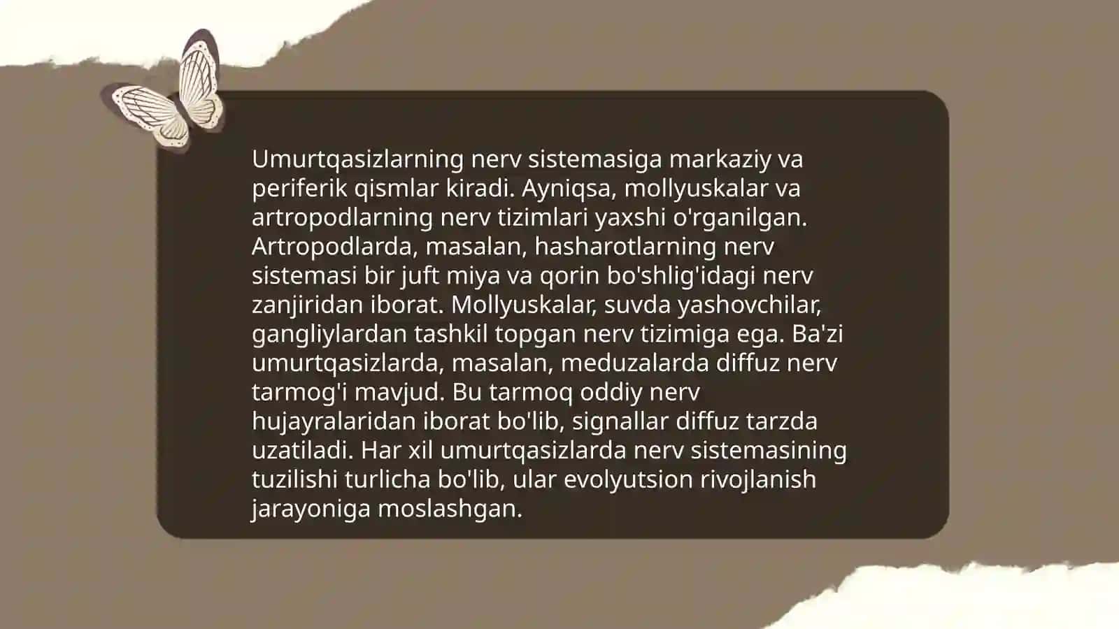 Umurtqali va umurtqasizlarning nerv sistemasini oʻziga xos taʼriflari 4