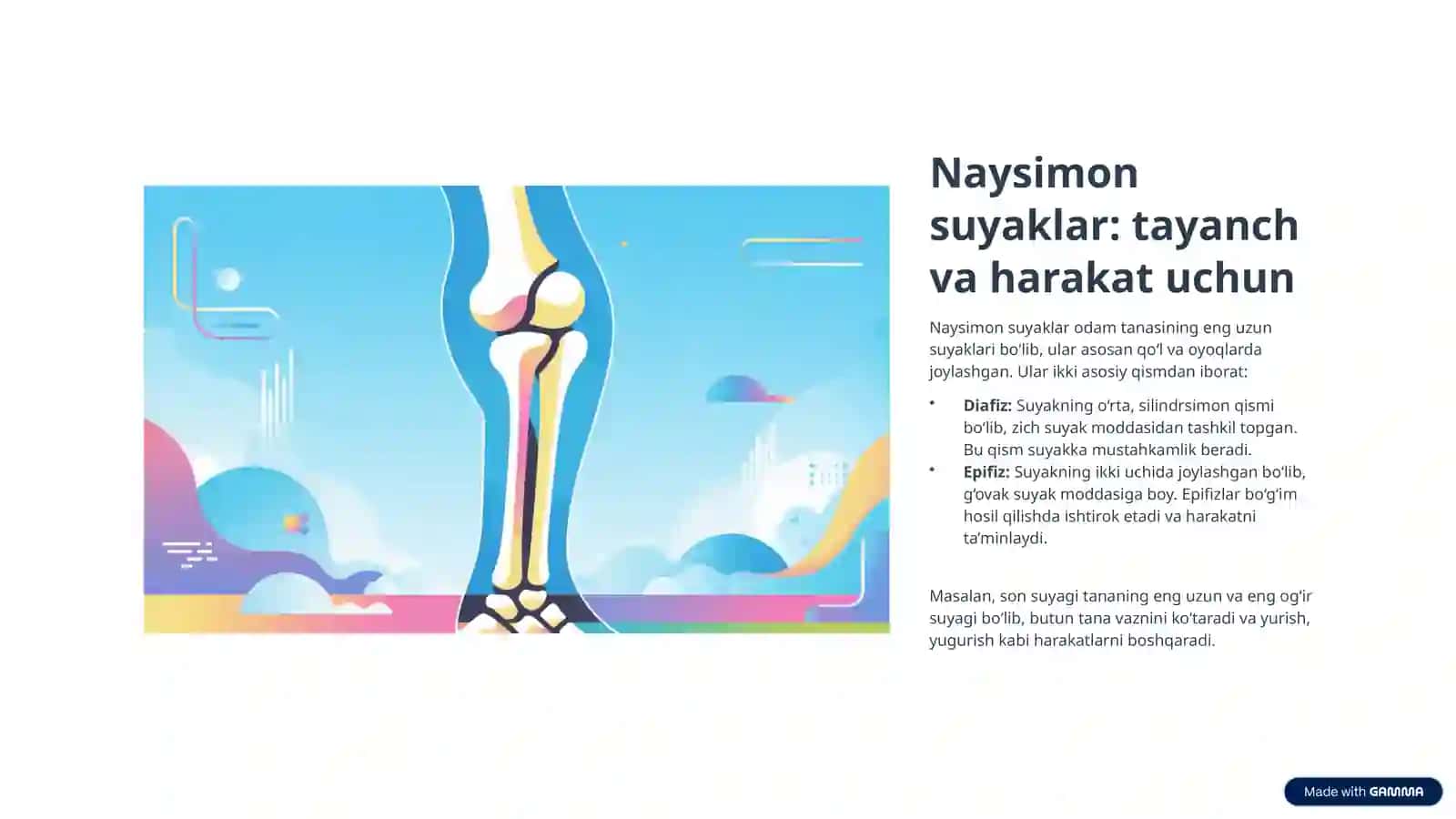 Suyaklarning turlari va vazifasi 4
