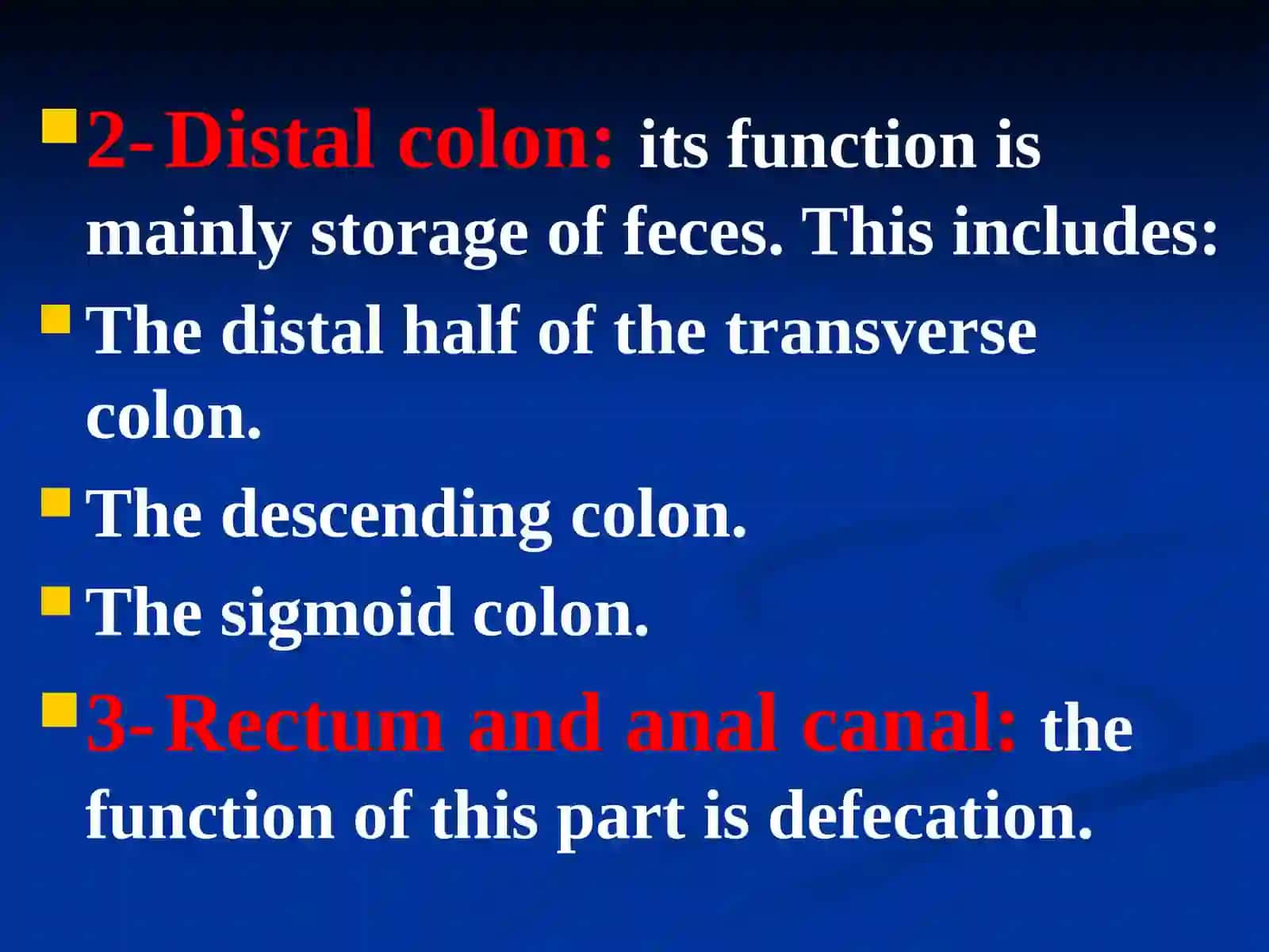 The large intestine 4