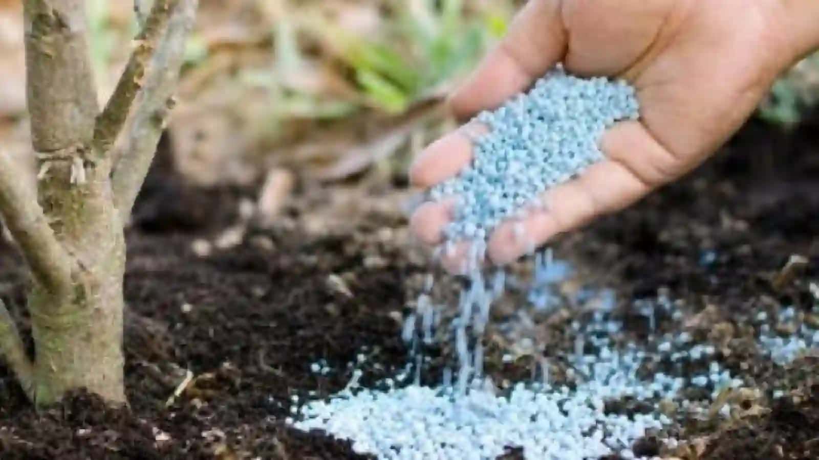 Mineral o’g’itlar hayotidagi ahamiyati 4
