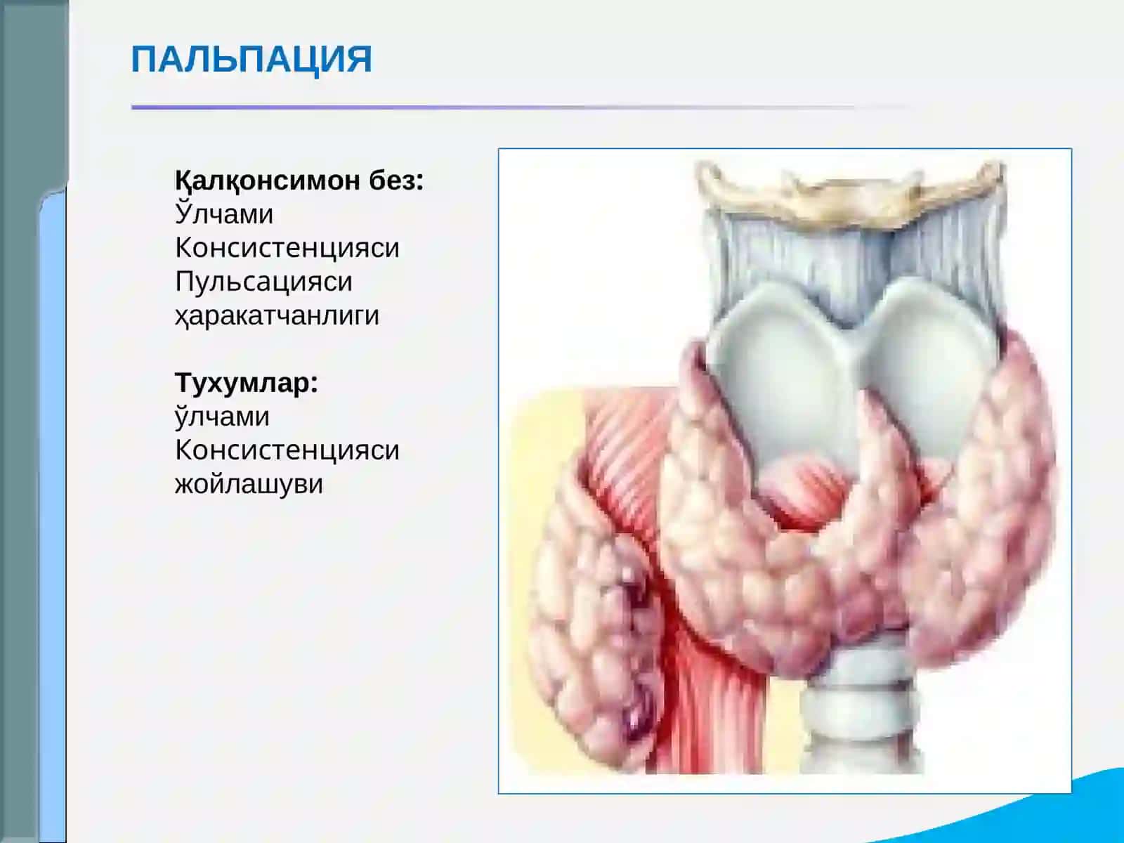 СЎРАБ СУРИШТИРИШ 4