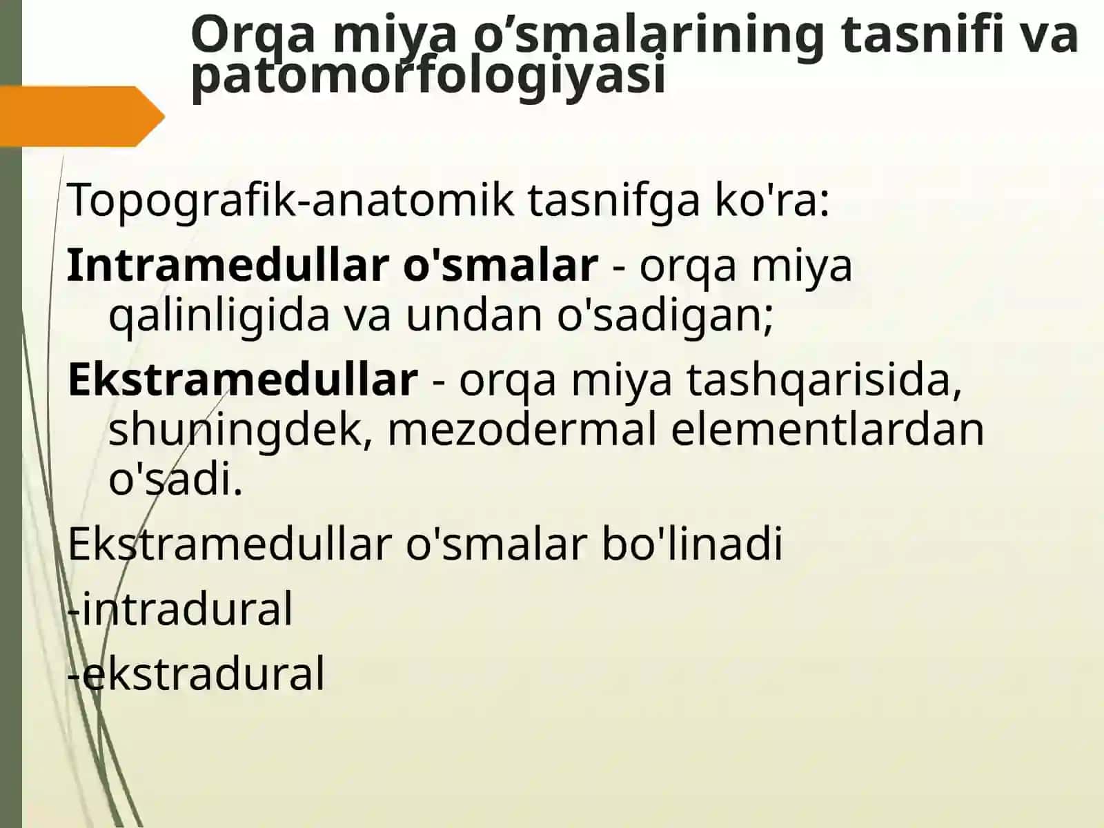 Orqa miya o’smalari 4