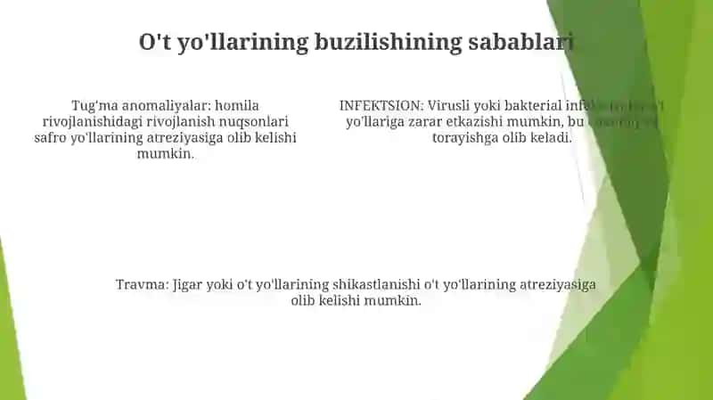 Atributlar to'plami 4