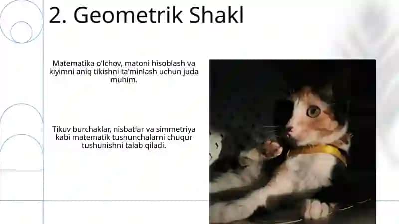 Matematika Nina uchun kerak? Matematika fanini tikuvchilik kasbiga bog'lash 4