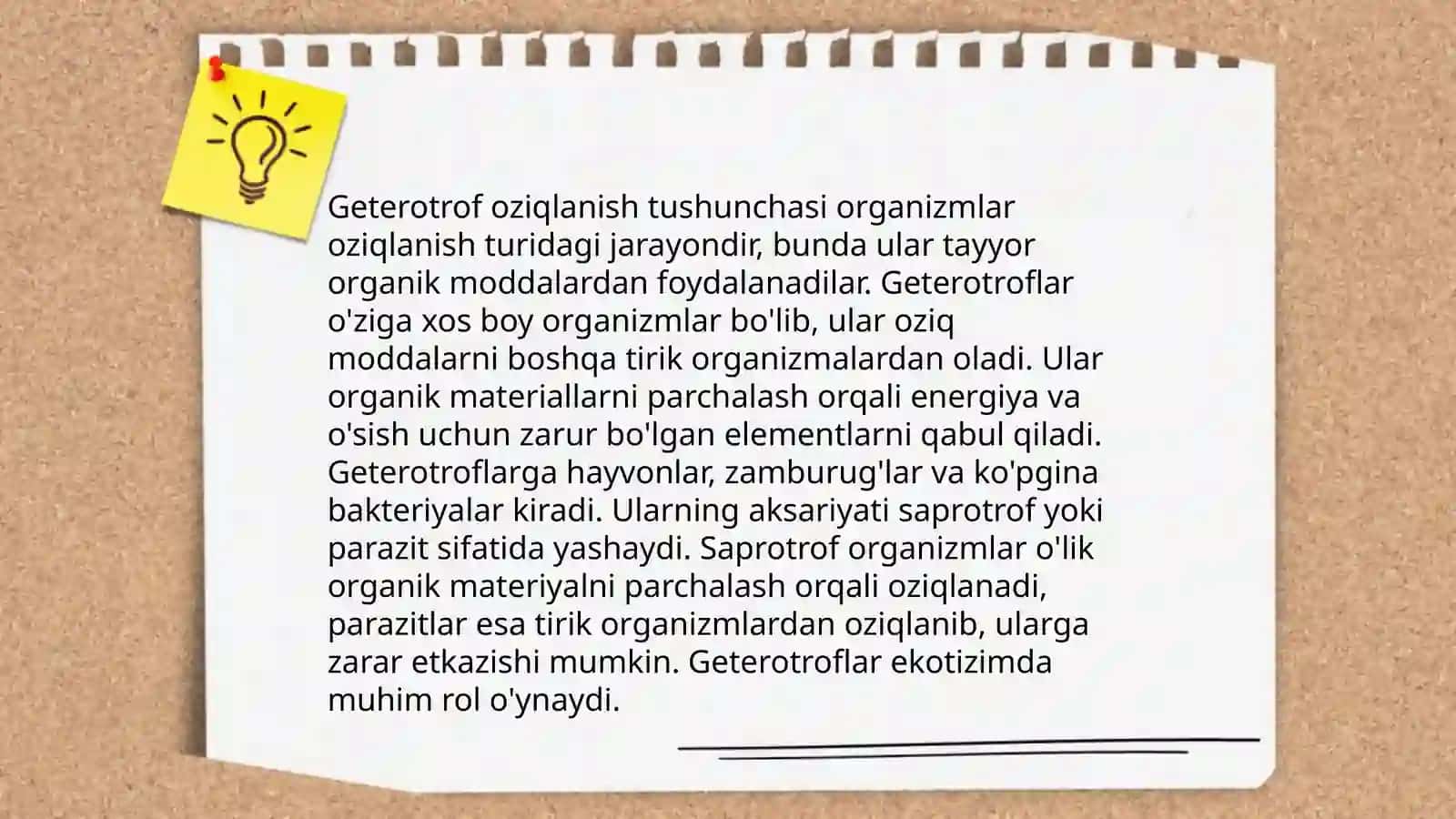 O'simliklarning geterotrof oziqlanishi makroelementlarning o'simliklarga tasiri 4