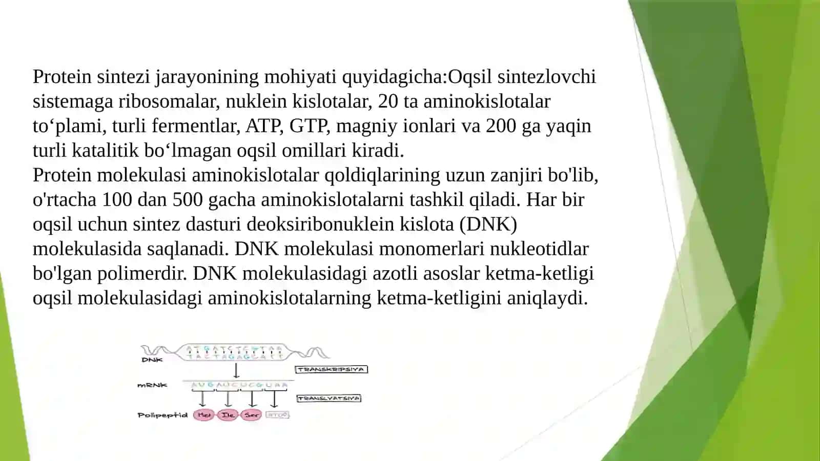 Oqsil biosintezi 4