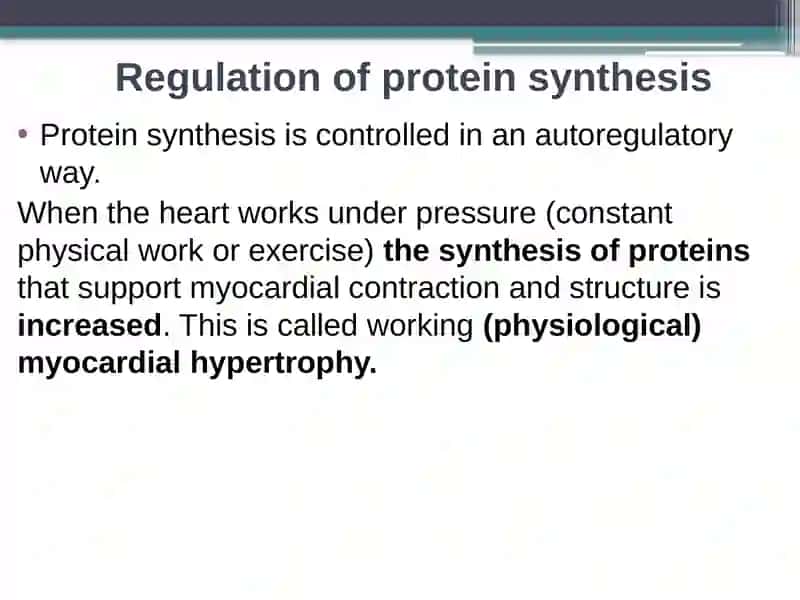 REGULATION OF CARDIAC ACTIVITY 4