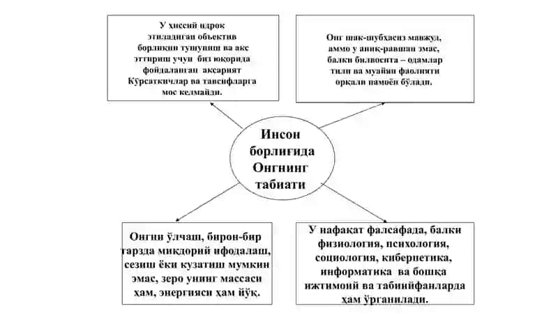 Insonfalsafasi(Falsafiyantropologiya) 4