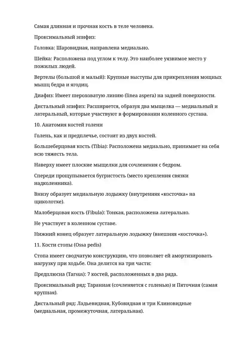 Анатомия остеология 4