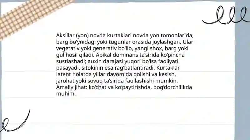 Apikal (terminal) novda kurtaklari 4