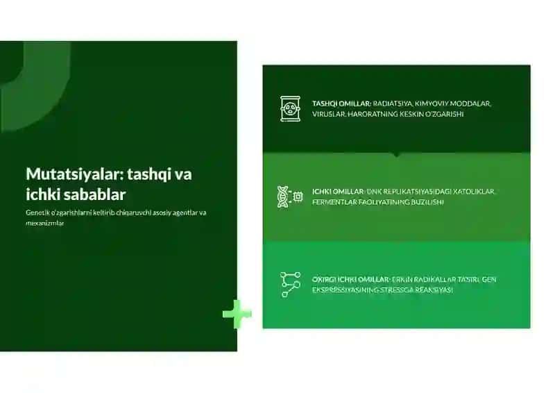 Iqtisodiy ihtiyorlar tahlili 4