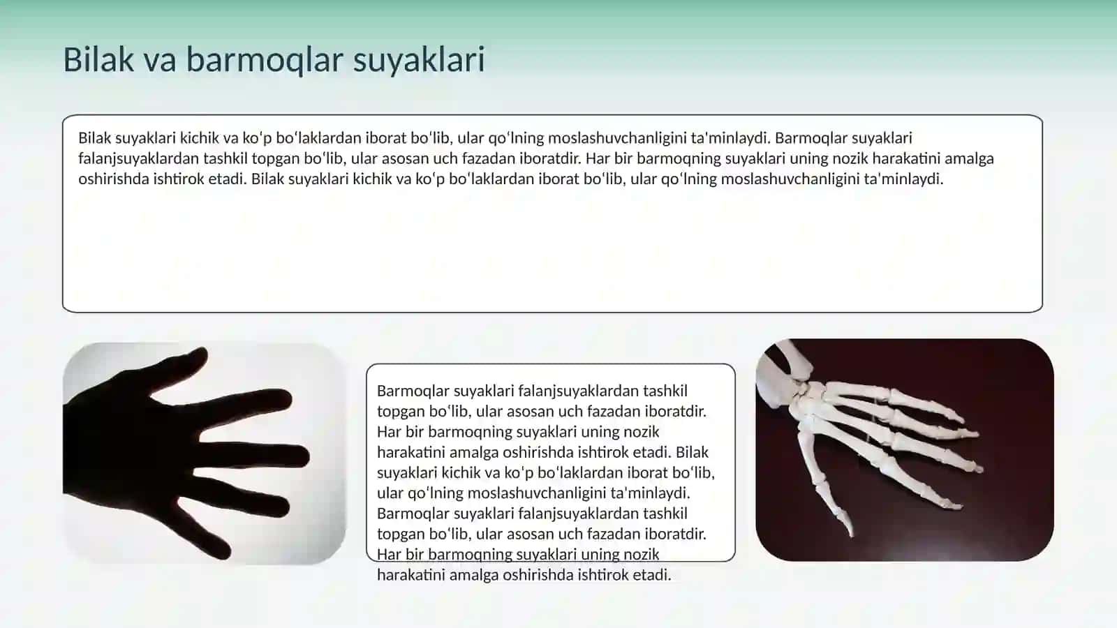 Qo‘l va Oyoq Suyaklari 4
