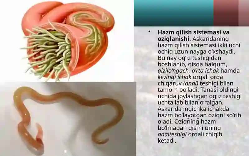 To‘garakchuvalchanglar 4