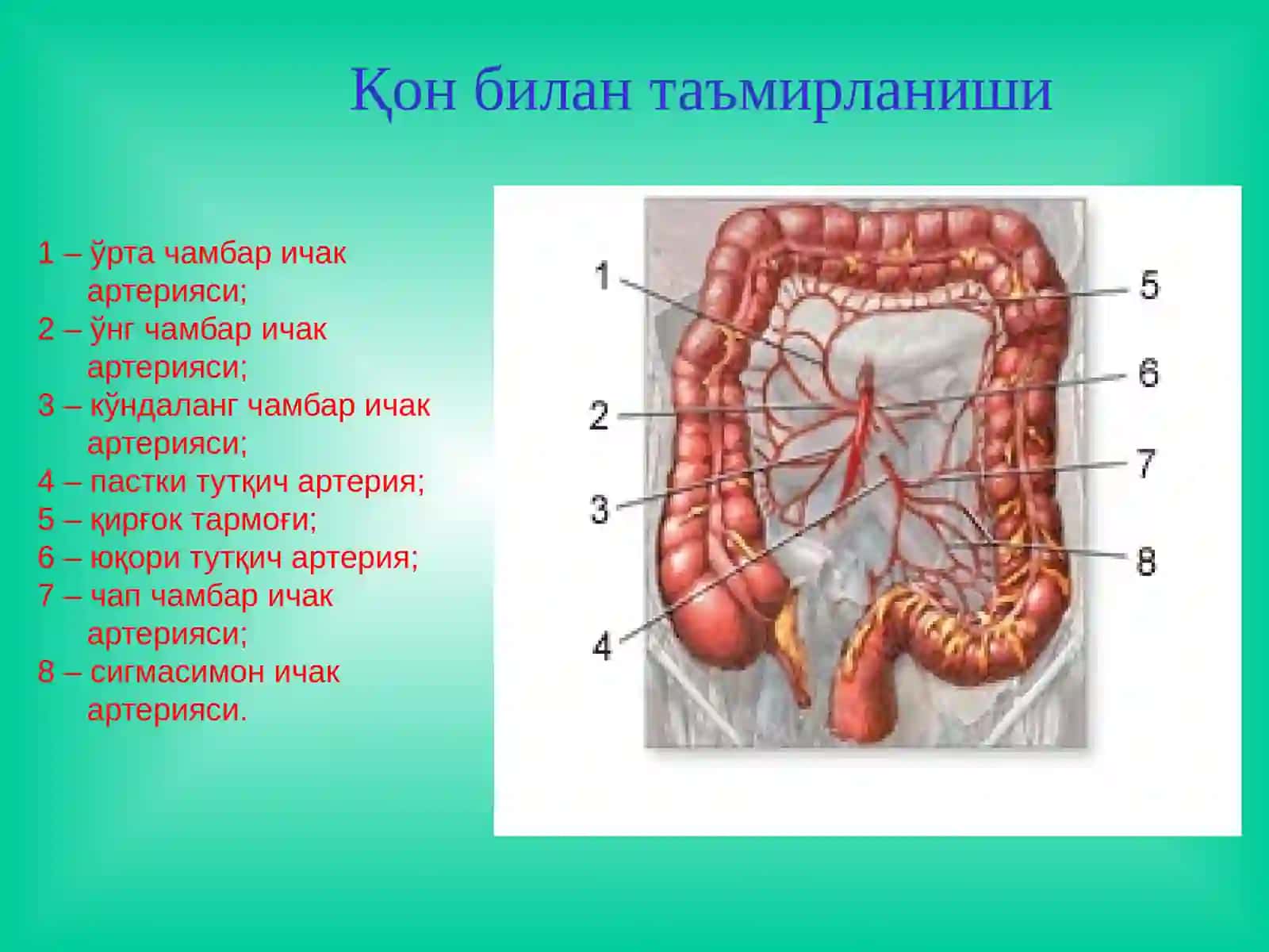 Йўғон ва тўғри ичак хирургик касалликлари Эпидемиологияси 4