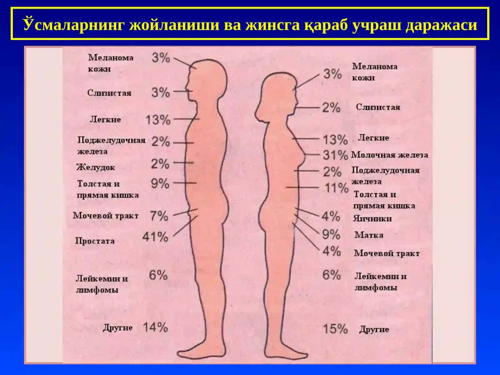 "ПАТОЛОГИК АНАТОМИЯ" 4