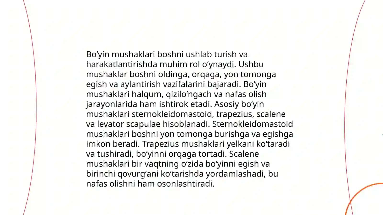 Boʻyin mushaklari, boʻyin uchburchaklari, fassiyalari 4