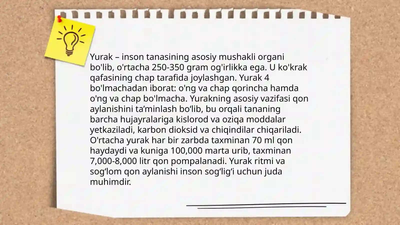 Qon aylanish tizimi 4