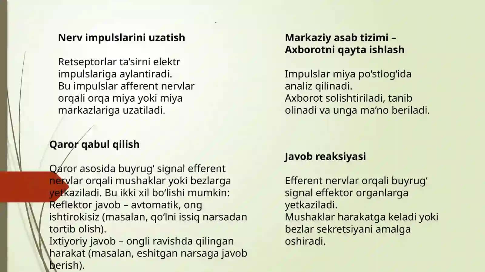 Sensortizimda axborotlarni qayta ishlash mexanizmlari va ta’sir etuvchi gormonlar 4