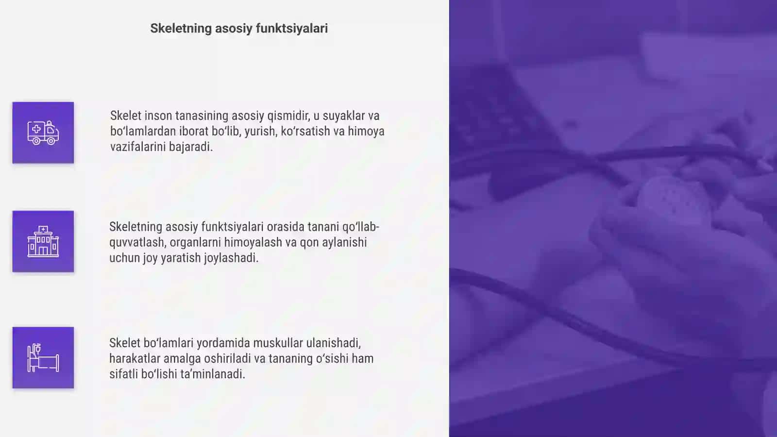 Skelet va uning boylamlari haqida talimot 4