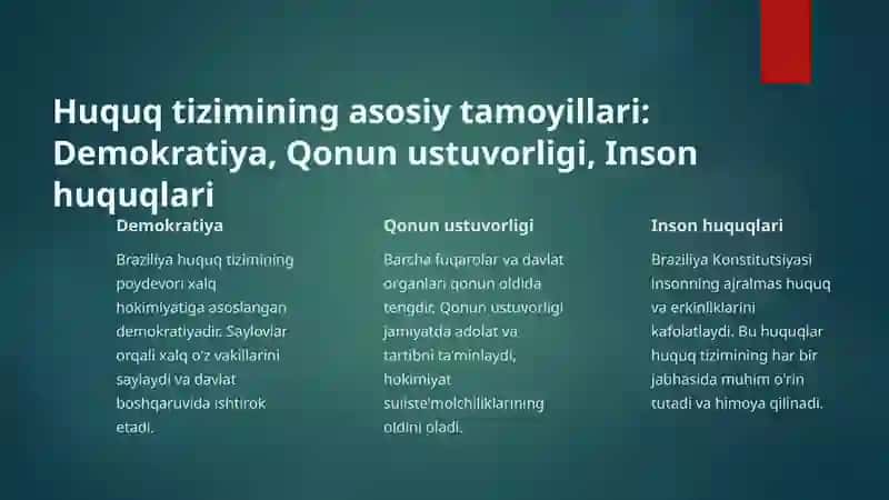 Braziliya huquq tizimi 4