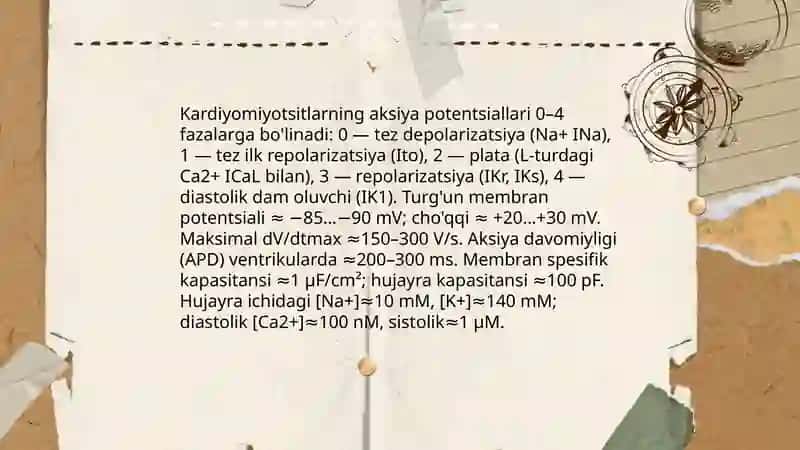 Elektrokardiografning fizik asoslarini oʻrganish 4