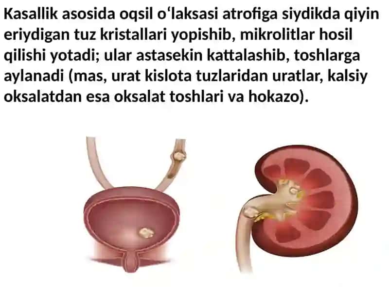Buyuktoshkasaligi 4