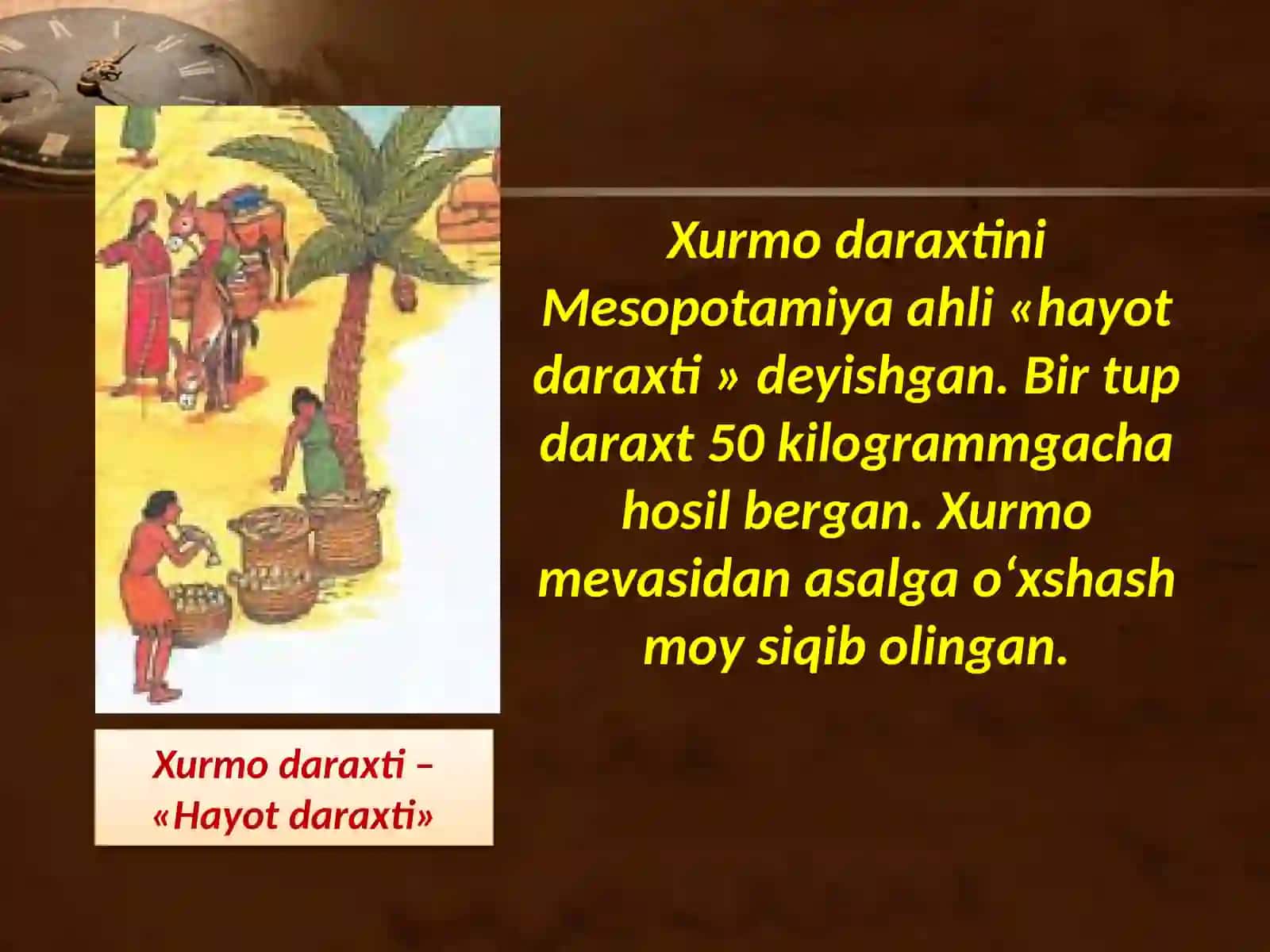 Mesopotamiyasivilizatsiyalari 4
