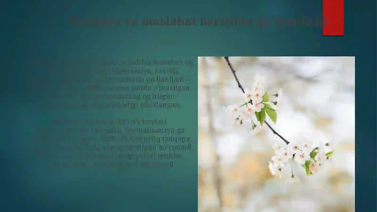 Tafakkur psixologiyasi kognitiv psixologiya sohasi sifatida 4