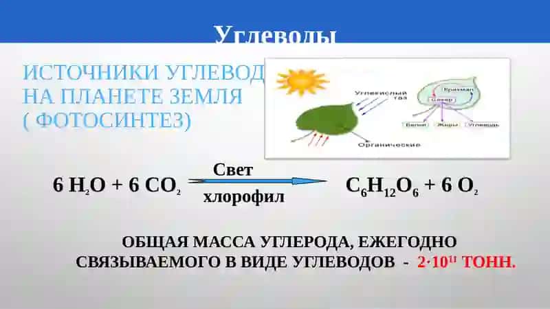 УГЛЕ-ВОДЫ 4
