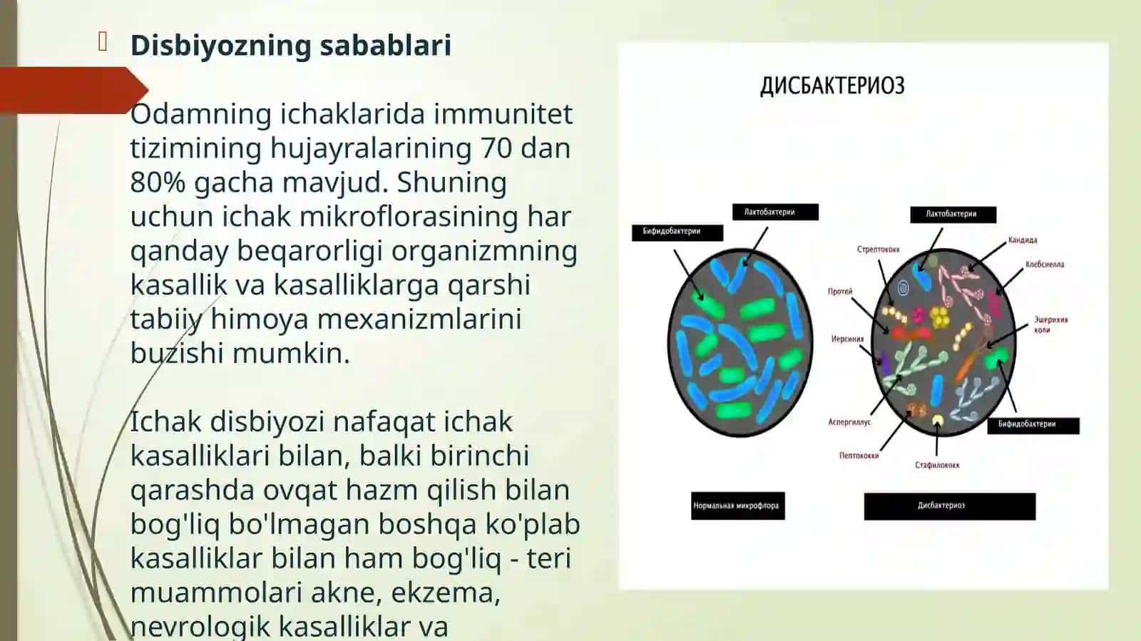 DIBAKTERIOZ VA DIZBAKTERIOZNING ZAMONAVIY BAKTERIOLOGIK DIAGNOSTIKASI 4