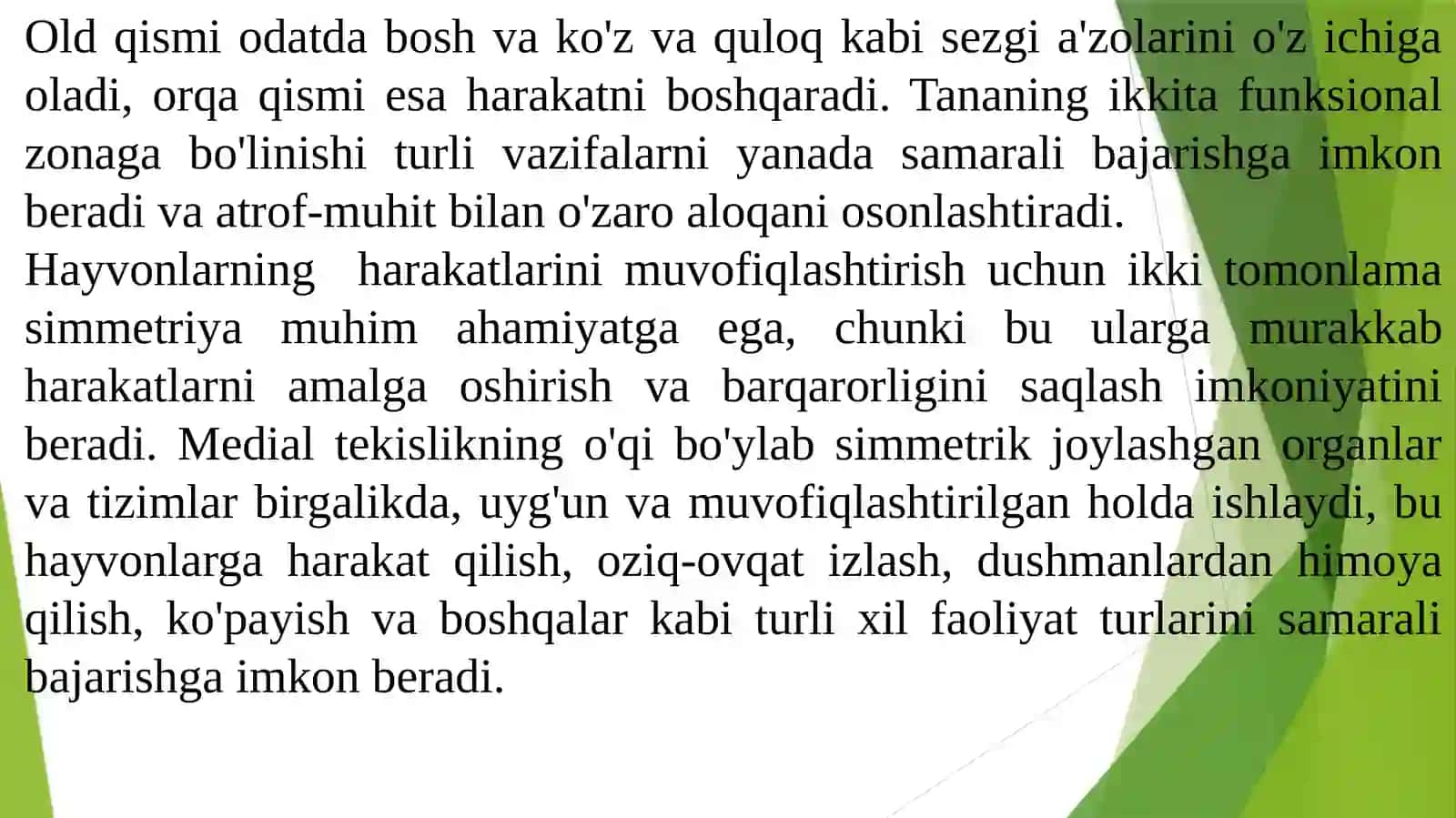 Billaterialsimmetriyalilar 4