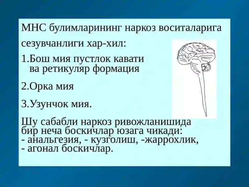 МНС функцияларини бошкариш воситалари 4