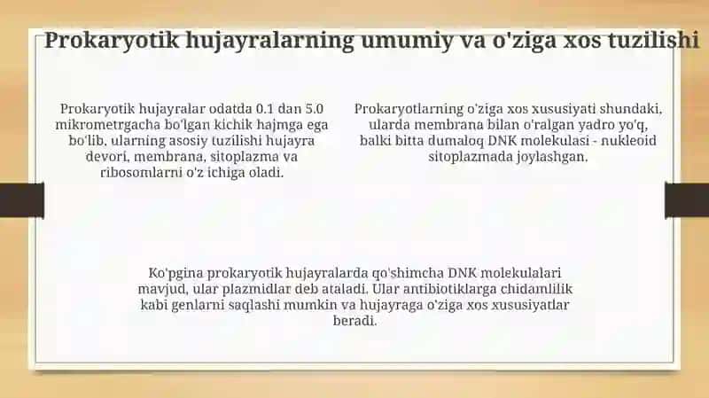 Viruslar: Tuzilishi, Replikatsiyasi va Tibbiy Ahamiyati 4