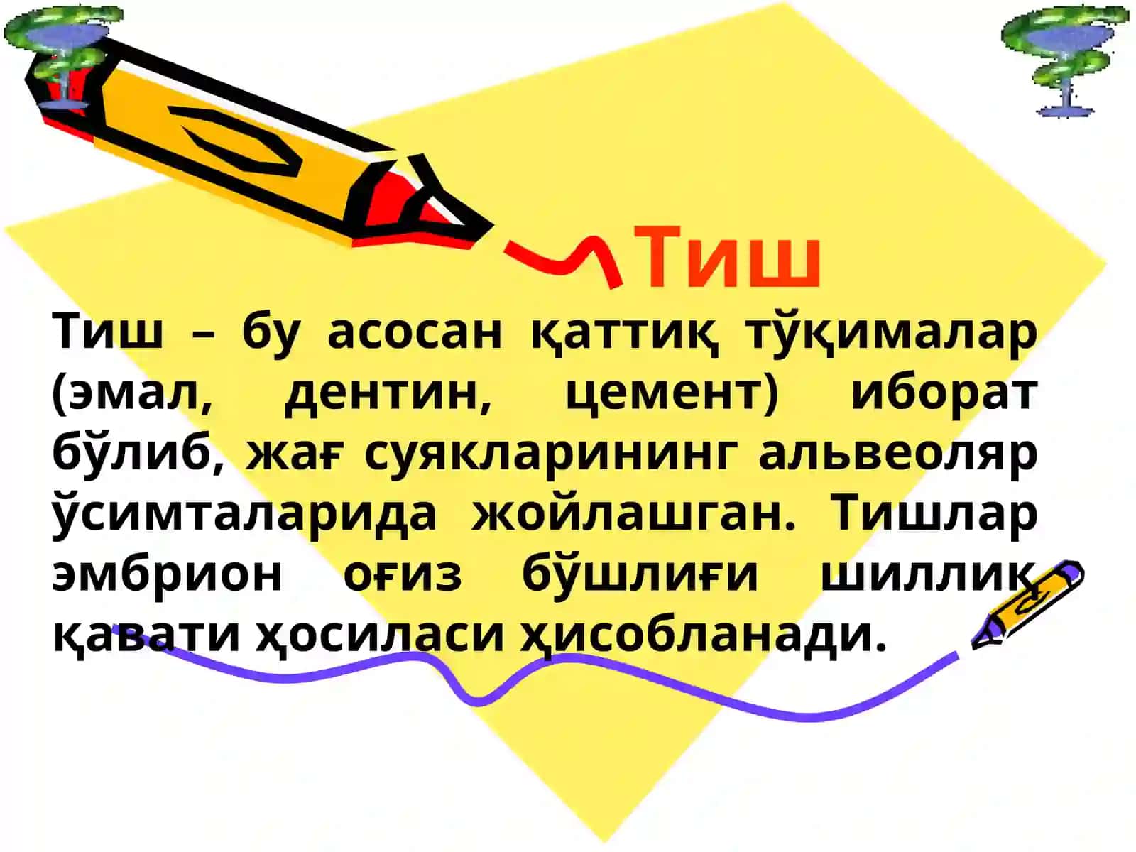 ТИШ ҚАТТИҚ ВА ЮМШОҚ ТЎҚИМАСИ БИОКИМЁСИ 4