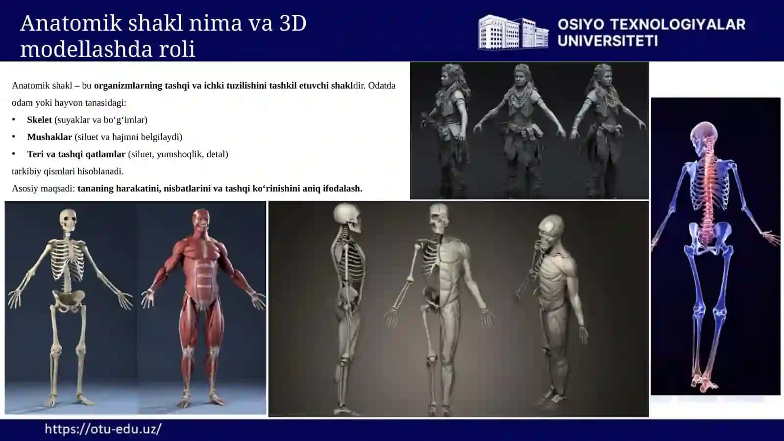 ANATOMIK SHAKLLARNI YARATISH ASOSLARI 4