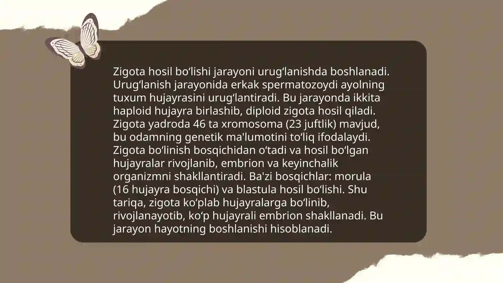 Embrional rivojlanish 4