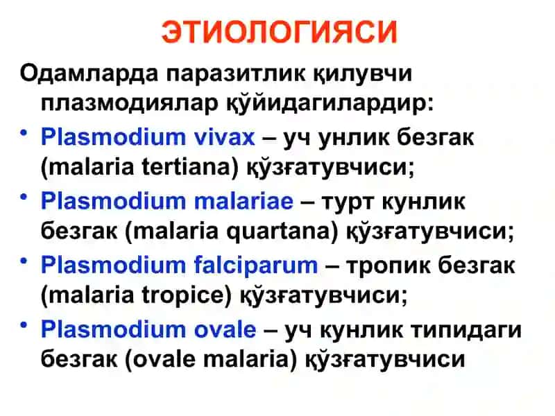 БЕЗГАК(МАЛЯРИЯ,MALARIA) 4