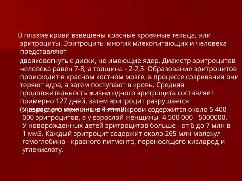 Кровеносная система 4